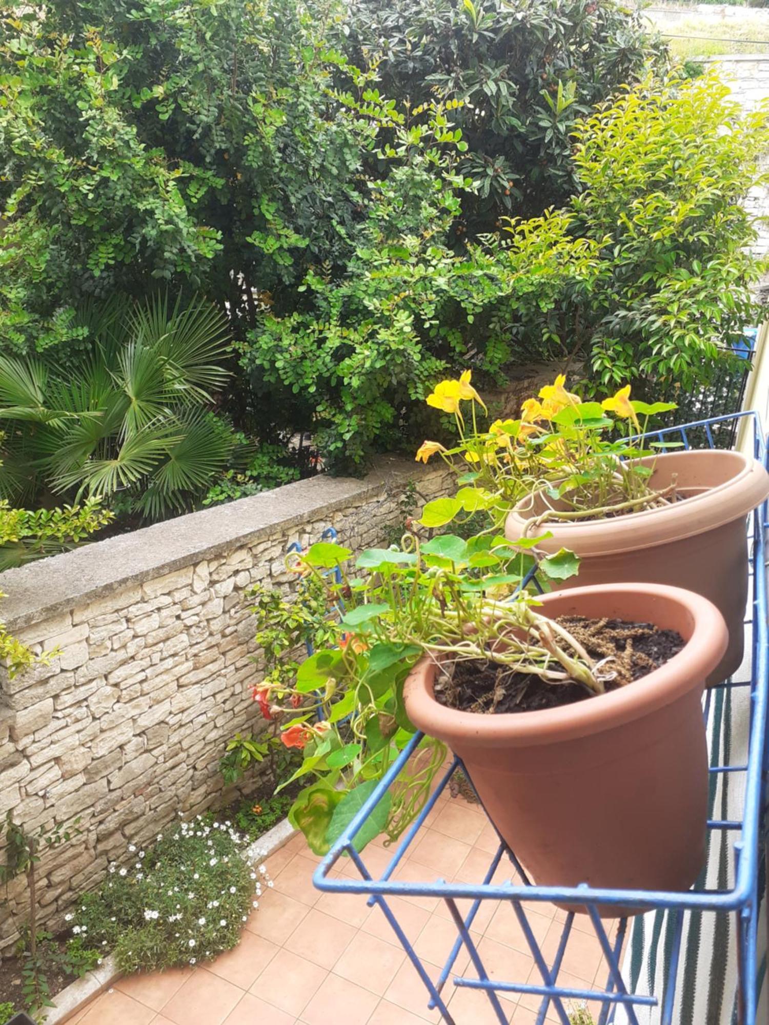 Mariza Apartment *